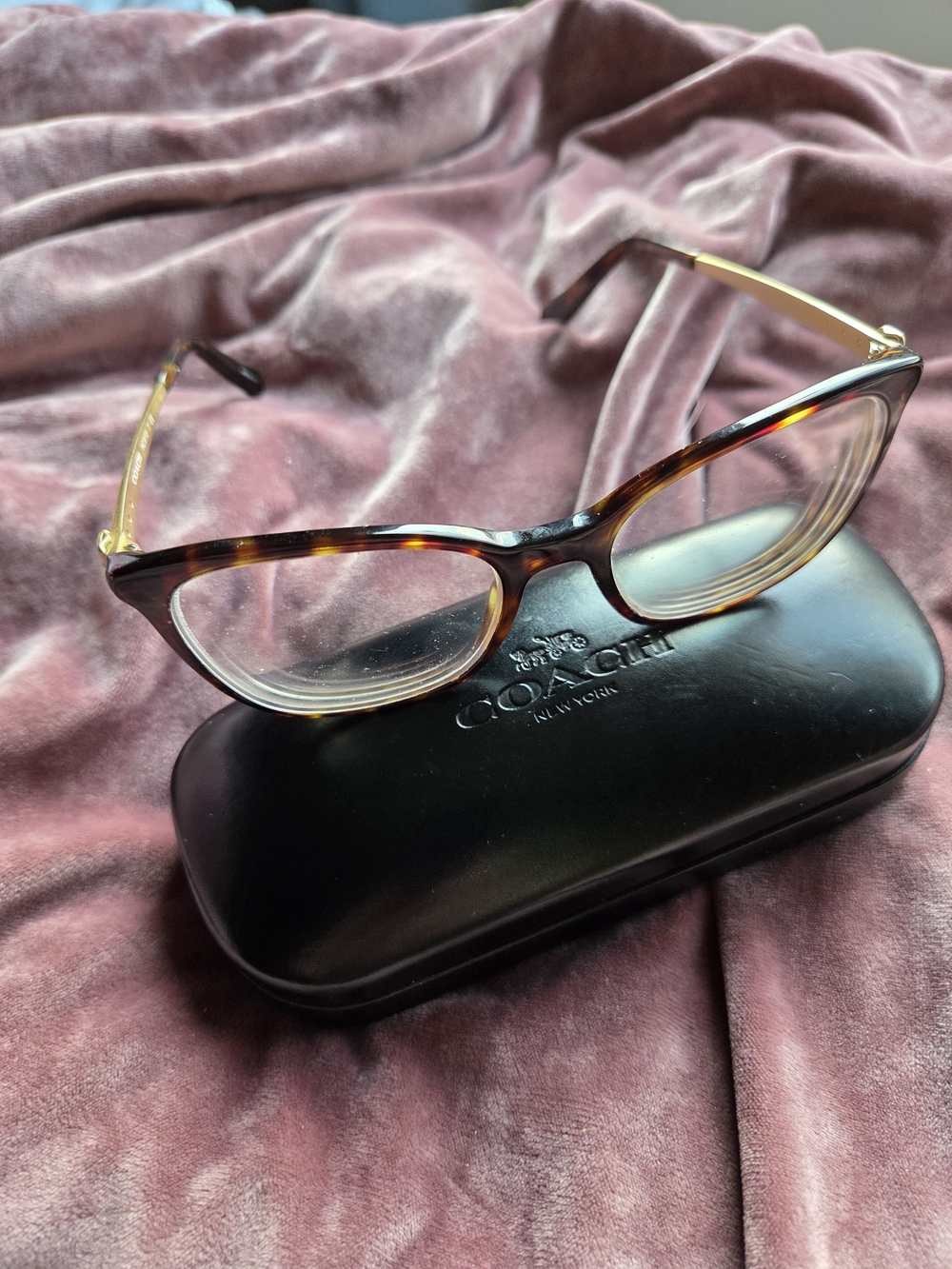 Coach Women's Eyeglasses HC 6113 5485 Dark Tortoise Butterfly Frame 53 18 - Picture 2 of 15